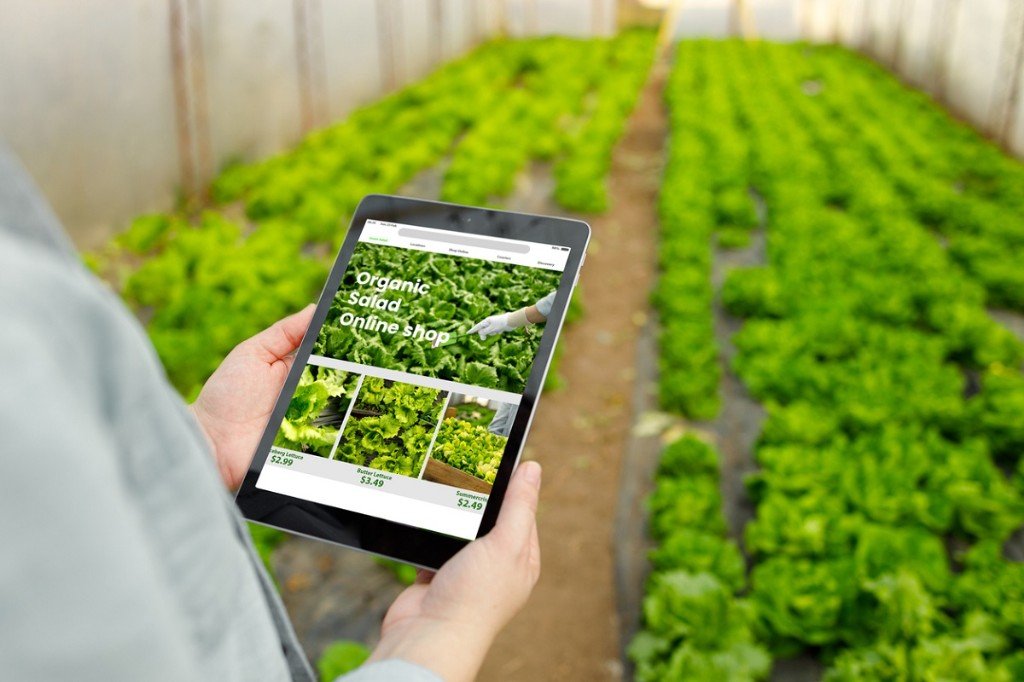 Agriculture & Agro Products